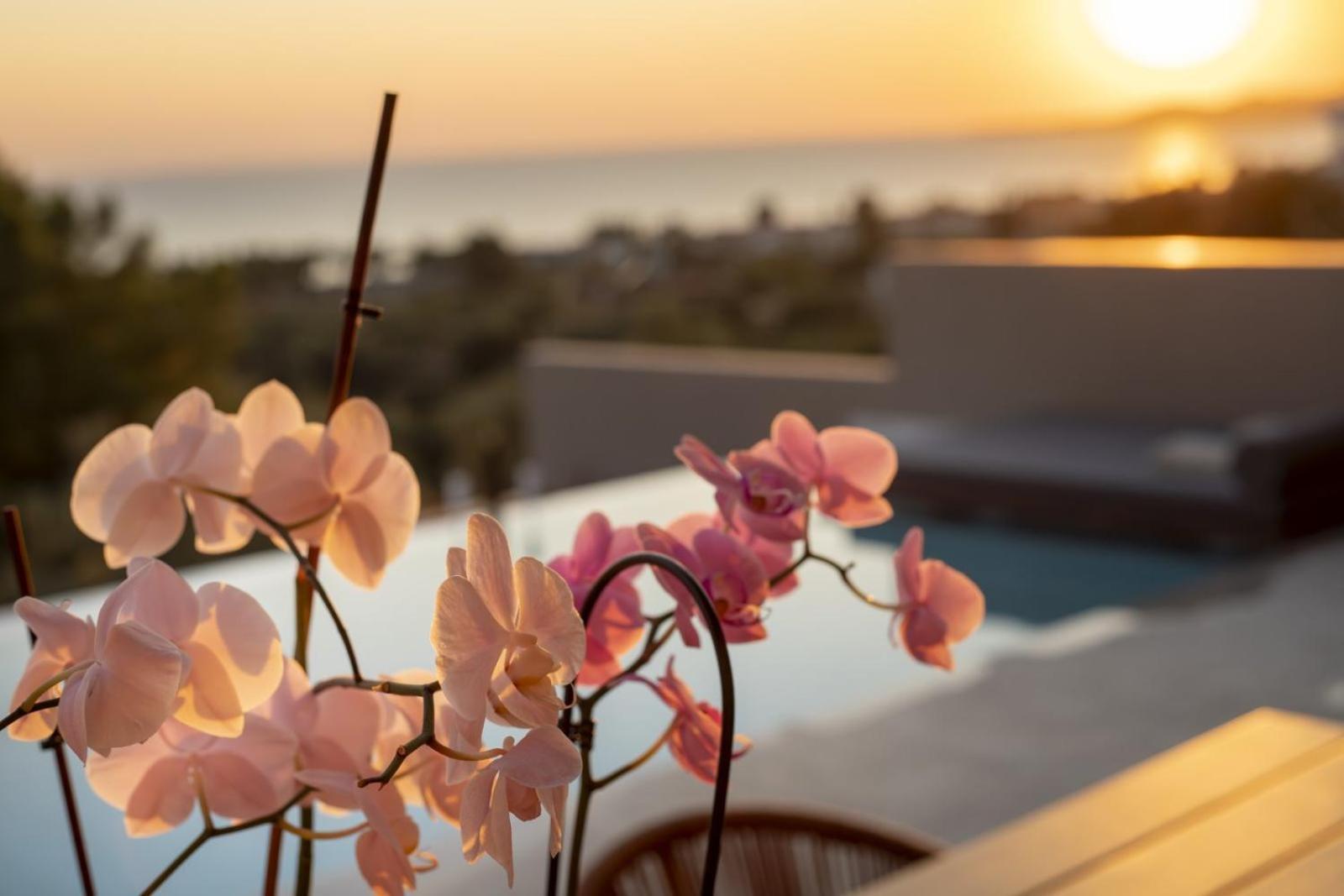 Lithos Villas - Nikiti Halkidiki Exterior foto